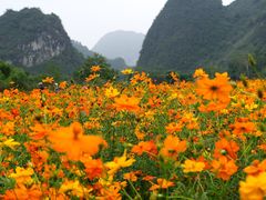 -靖西鹅泉风景区