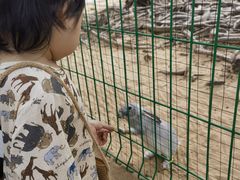 -三亚海棠湾万丽度假酒店