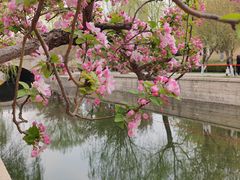-海棠花溪(元大都城垣遗址公园)