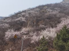 -妙峰山风景名胜区