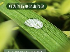 -永太盲人按摩(福田店)