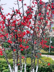 点击看大图 -重庆安琪儿妇产医院-妇幼保健联盟医院