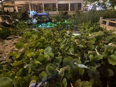 -金鸡湖景区