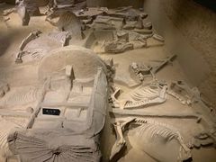 -洛阳周王城天子驾六博物馆