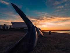 -烟台金沙滩海滨公园