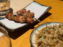 鸡肉葱-TINY
