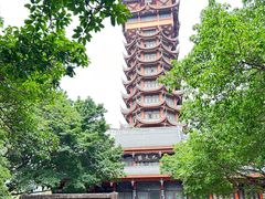 -塔子山公园