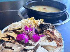 -野菌皇海景野生菌火锅(滨海大道店)