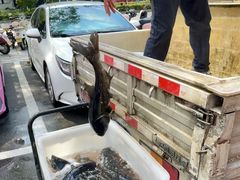 -魏铭鱼头捞饭(晋阳路店)