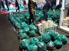 -新农都水产市场