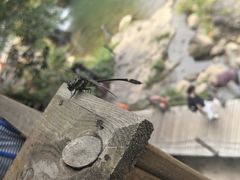 -长谷洞天