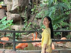 -长鹿旅游休博园