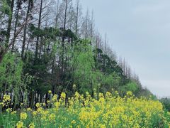 -前小桔亲子创意农场·草莓采摘·露营烧烤