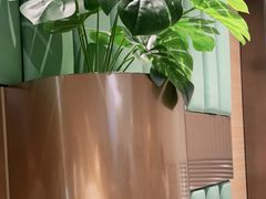 -奈雪的茶(百盛店)
