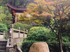 -十八棵（老龙井）御茶园(老龙井店)
