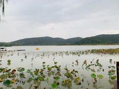 -南北湖风景区