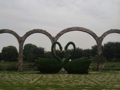 -鹅湖玫瑰文化园
