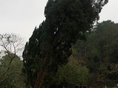 -韶山毛泽东同志故居