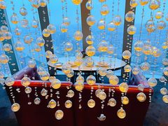 -广州四季酒店·佰鲜汇·现代法餐