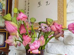 -寂照庵