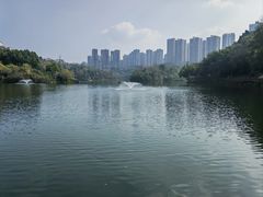 -重庆彩云湖湿地公园
