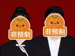 -茄子达人•镜像照相馆