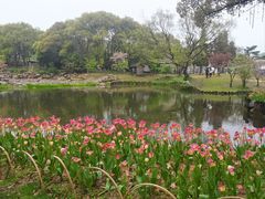 -无锡梅园公园