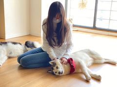 -Husky Go! 哈士奇体验馆·宠物咖啡厅狗咖