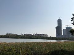-华侨城湿地公园