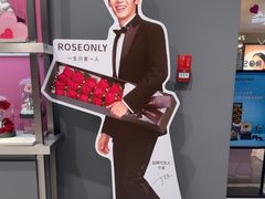 -ROSEONLY诺誓(广州K11店)