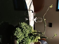 -楚禾宴·家宴(光谷大道店)