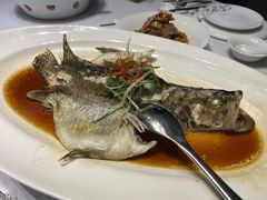 -同庆楼(天鹅湖万达店)