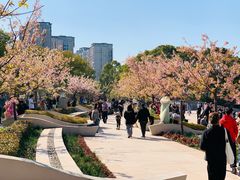 -新江湾城公园