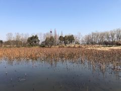 -长兴太湖图影湿地文化园