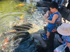 -王家大院