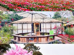 -盈香心动乐园