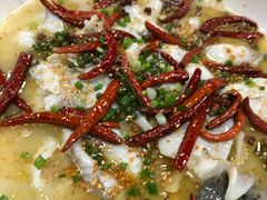 -渔见·精品川菜·老坛酸菜鱼(大朗店)