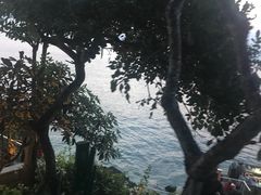 -Rock Bar Bali(Bali)