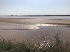 -迎宾楼(解放西街店)