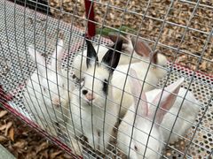 -汕尾铜鼎山旅游区