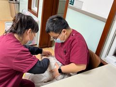 -宠颐生中康贝怡动物医院