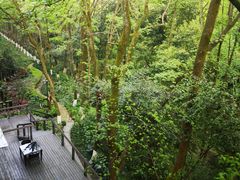 -拾溪餐厅·包厢(杭州千禧度假酒店)