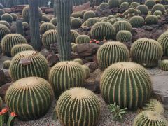 -南通洲际绿博园