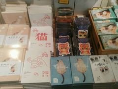 -猫咪博物馆(顶澳仔猫街店)