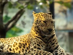 -广州长隆野生动物世界