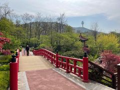 -大连植物园
