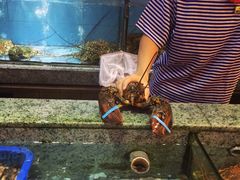 快乐海鲜城(虎泉街店)-快乐海鲜城(虎泉街店)
