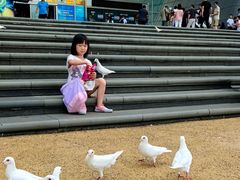 -烟台海昌鲸鲨海洋公园