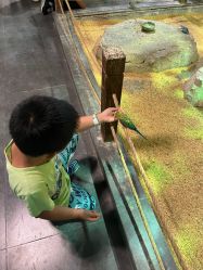 -酷嗒动物文化乐园(cutezoo西溪乐天城店)