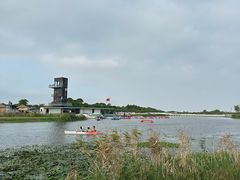 -春花秋色城市公园